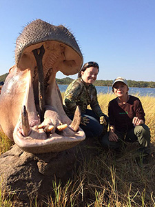 Newsletter-35-Hippo-3