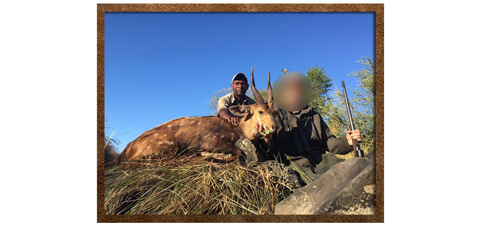 Newsletter-54_03-new