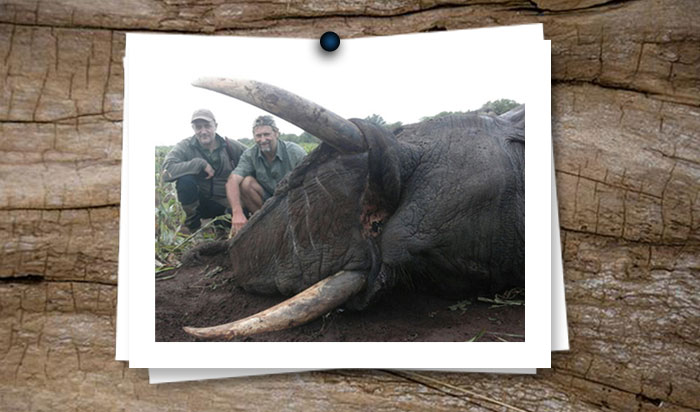 newsletter-35-pic-1-new